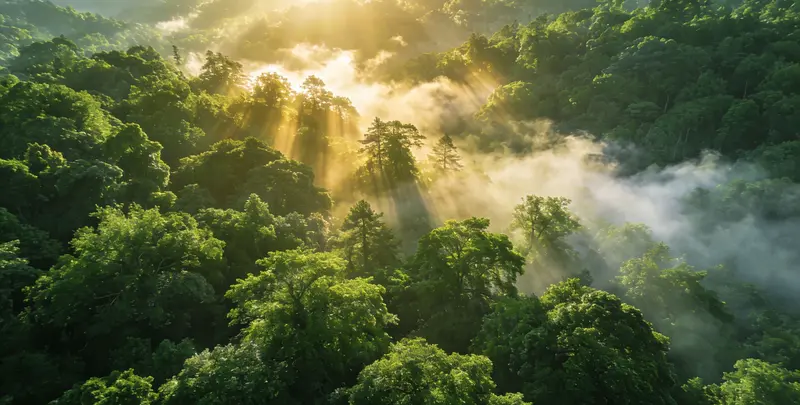 临汾肺癌13基因突变检测（组织）图片1
