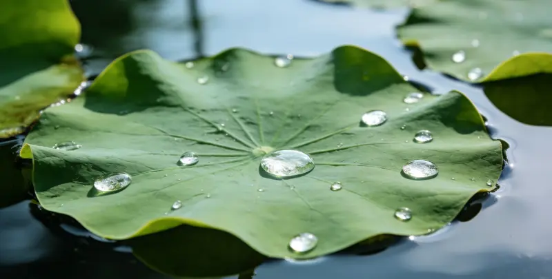 临汾乳腺癌21基因mRNA表达分析图片1