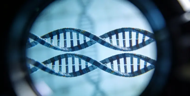 移民亲子鉴定图4