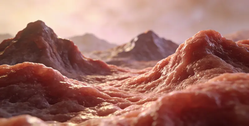 胃癌靶向用药39基因检测（组织）图2